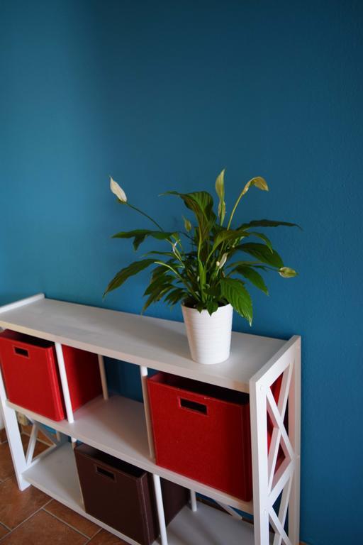 Obstkorb Stralsund Apartamento Quarto foto